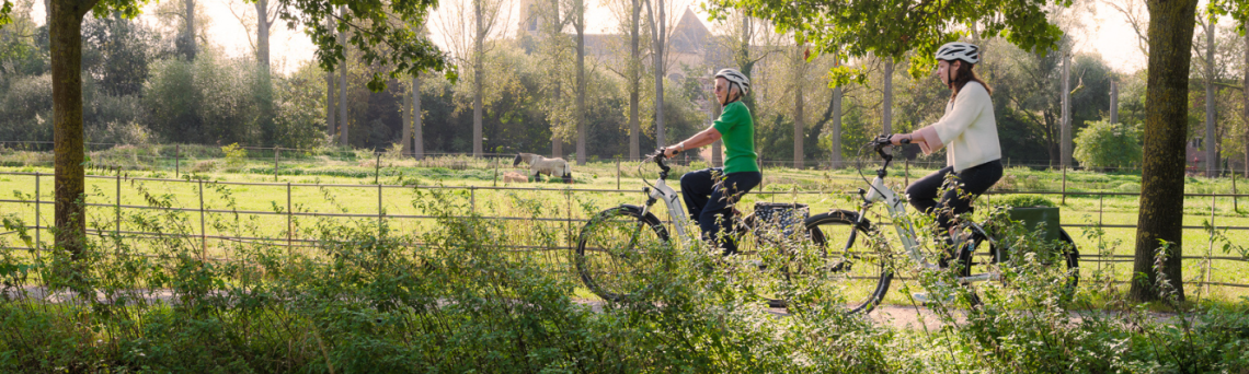 Fietscafé, fietsroutenet, visit limburg, fietsen, peer, fietsknooppunt